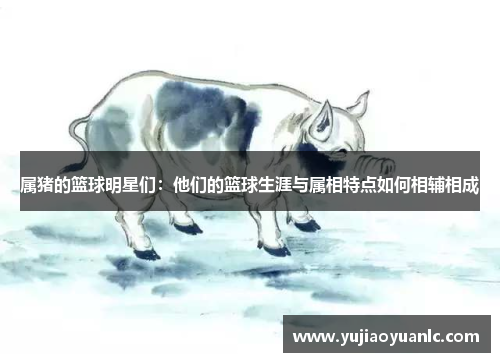 属猪的篮球明星们：他们的篮球生涯与属相特点如何相辅相成